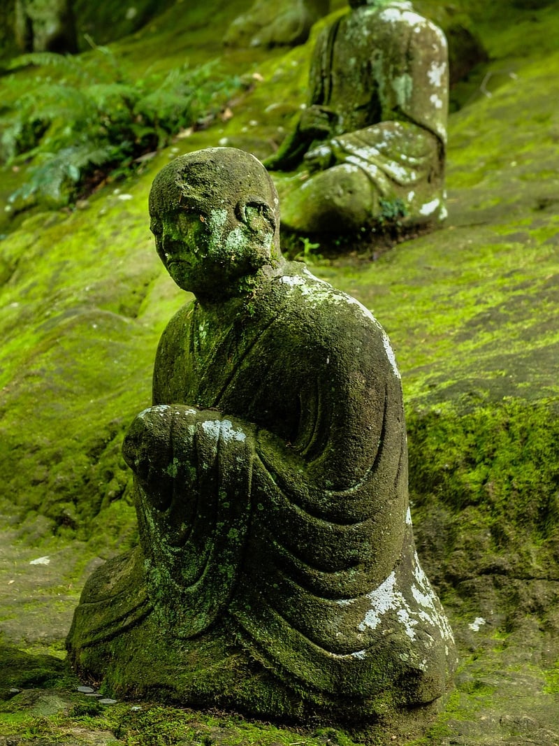 Meditating in nature